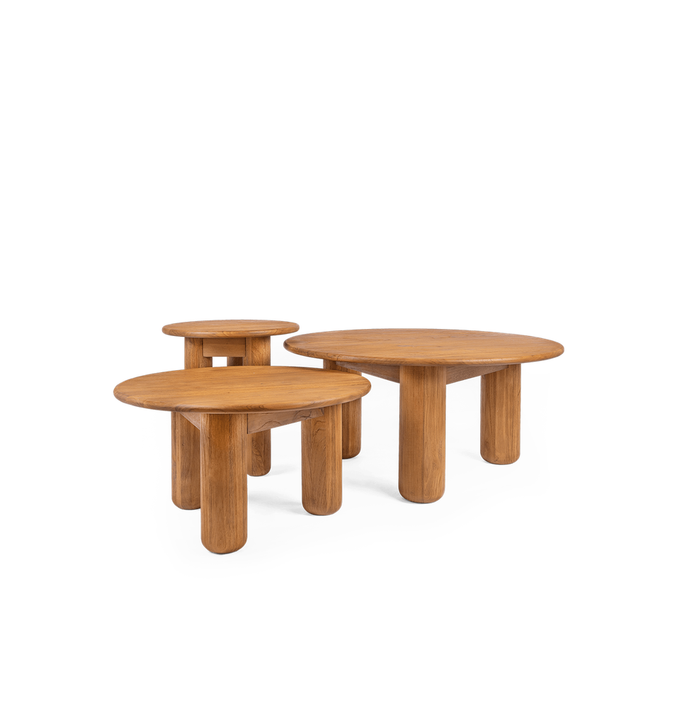 Dino coffee table (set of 3)