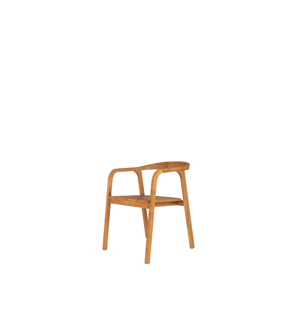 Classy bibo dining chair