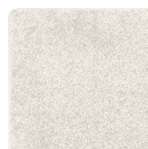 Indoor sencasion blanco Rug 200x290